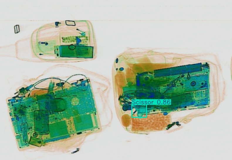 Detection preview by Segmentatation_v8_medium_train_250