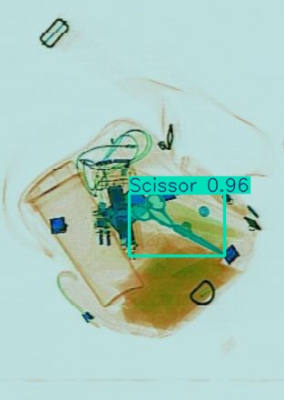 Detection preview by Segmentatation_v8_medium_train_250