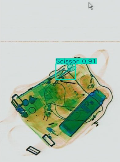 Detection preview by Segmentatation_v8_medium_train_250