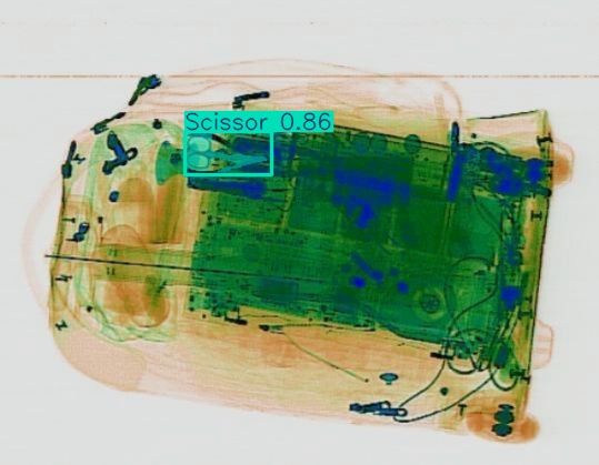 Detection preview by Segmentatation_v8_medium_train_250