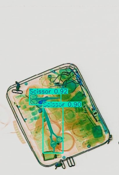 Detection preview by Segmentatation_v8_medium_train_250