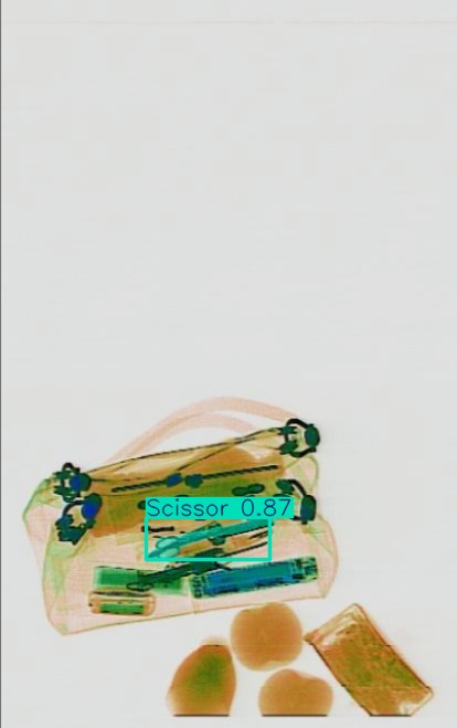 Detection preview by Segmentatation_v8_medium_train_250