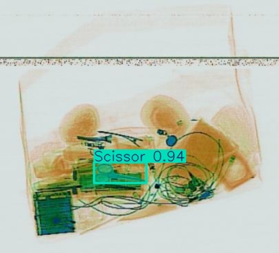 Detection preview by Segmentatation_v8_medium_train_250