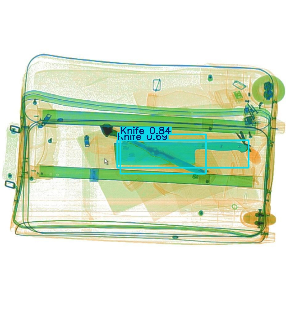 Detection preview by Segmentation_V11_large_300_train_300