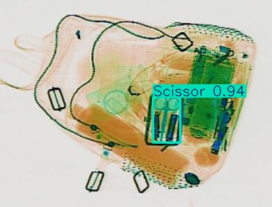 Detection preview by Segmentation_V11_large_300_train_300
