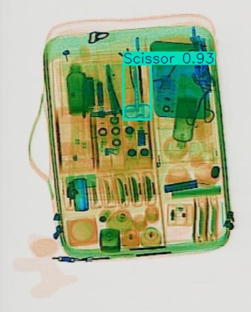 Detection preview by Segmentation_V11_large_300_train_300