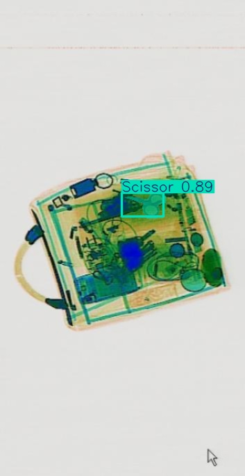 Detection preview by Segmentation_V11_large_300_train_300