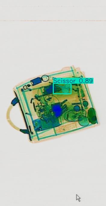 Detection preview by Segmentation_V11_large_300_train_300