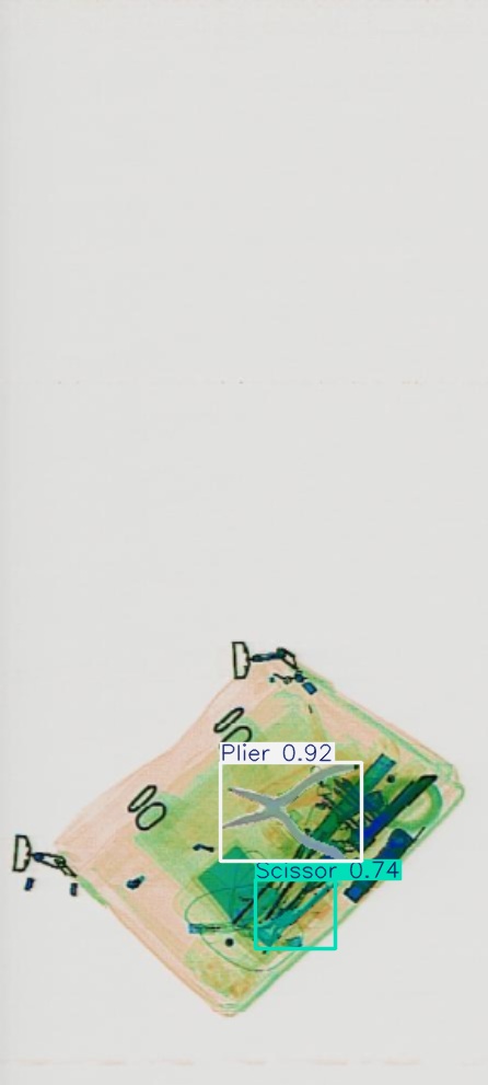 Detection preview by Segmentation_V11_large_300_train_300