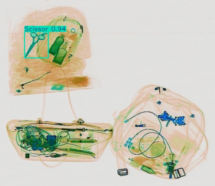 Detection preview by Segmentation_V11_large_300_train_300