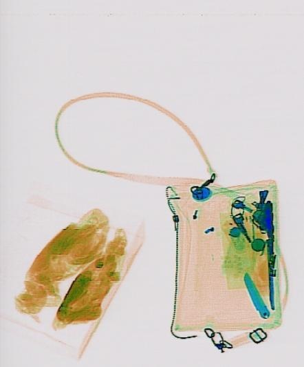 Detection preview by Segmentation_V11_large_300_train_300