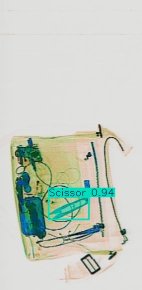 Detection preview by Segmentation_V11_large_300_train_300