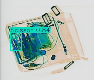 Detection preview by Segmentation_V11_large_300_train_300