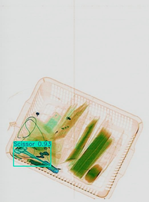 Detection preview by Segmentation_V11_large_300_train_300