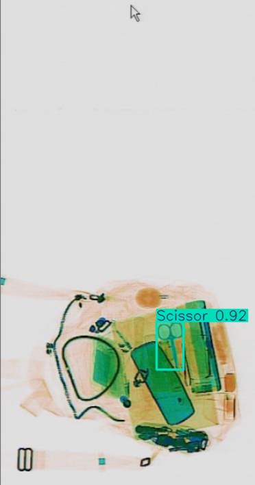 Detection preview by Segmentation_V11_large_300_train_300