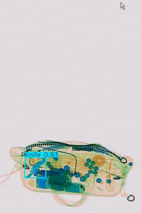 Detection preview by Segmentation_V11_large_300_train_300