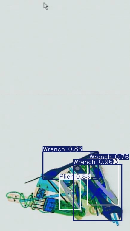 Detection preview by Segmentation_V11_large_300_train_300