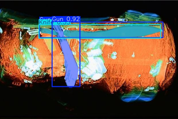 Detection preview by Segmentation_V11_large_300_train_300