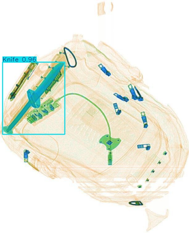 Detection preview by Segmentation_v8_large_300_train_300