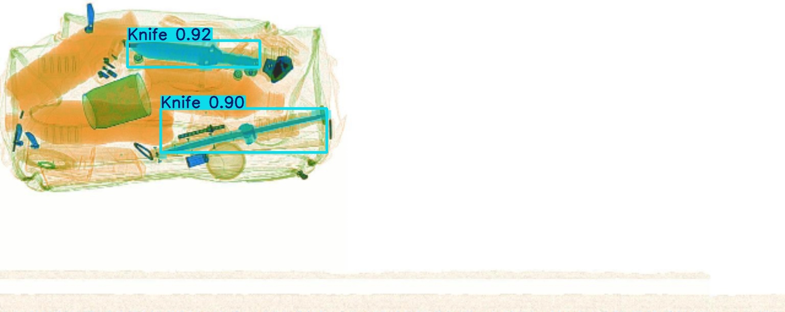 Detection preview by Segmentation_v8_large_300_train_300