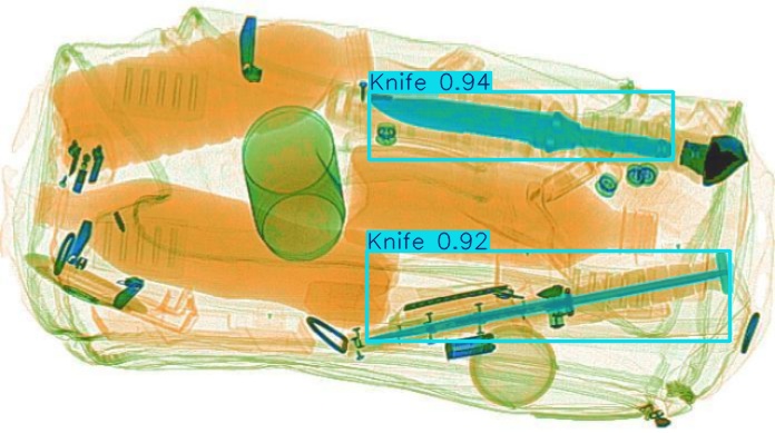 Detection preview by Segmentation_v8_large_300_train_300