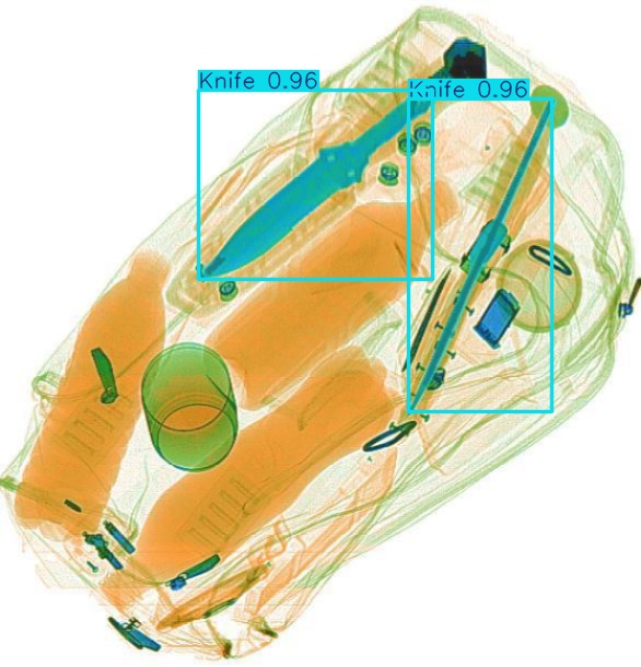 Detection preview by Segmentation_v8_large_300_train_300