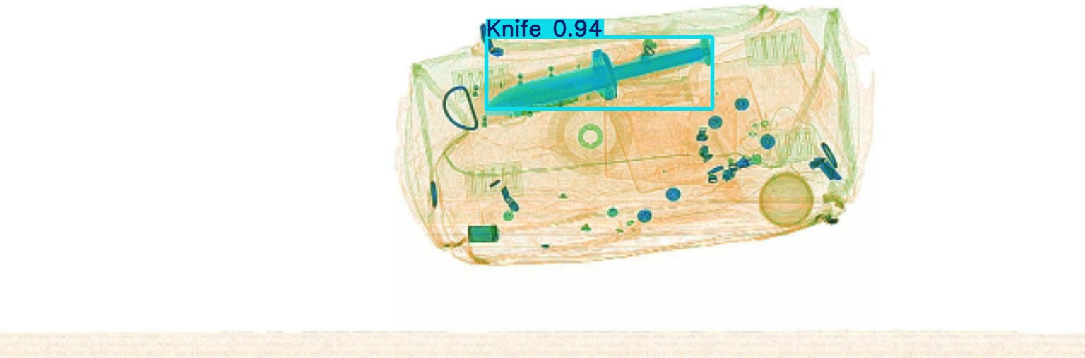 Detection preview by Segmentation_v8_large_300_train_300