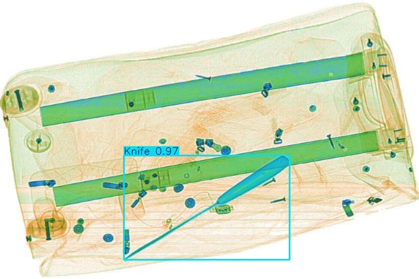 Detection preview by Segmentation_v8_large_300_train_300