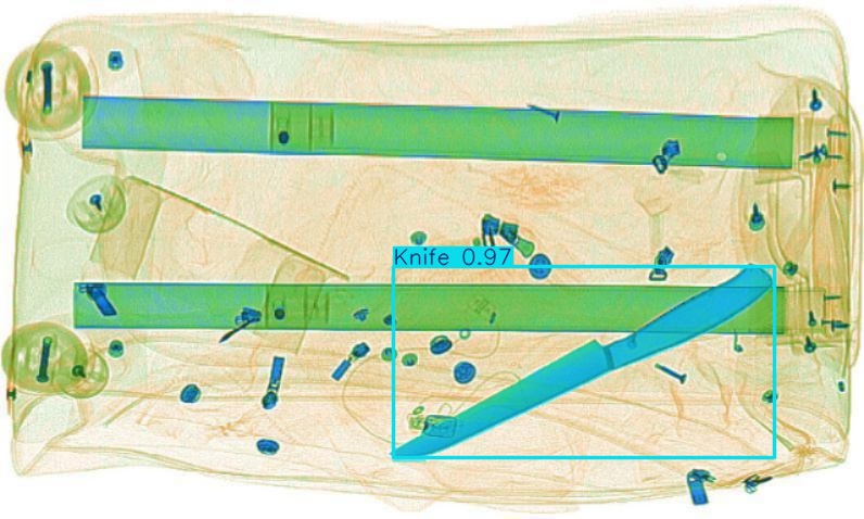 Detection preview by Segmentation_v8_large_300_train_300