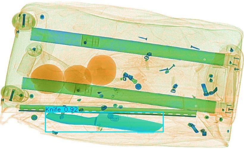 Detection preview by Segmentation_v8_large_300_train_300