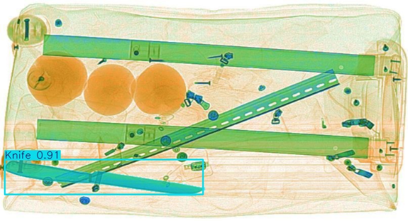 Detection preview by Segmentation_v8_large_300_train_300