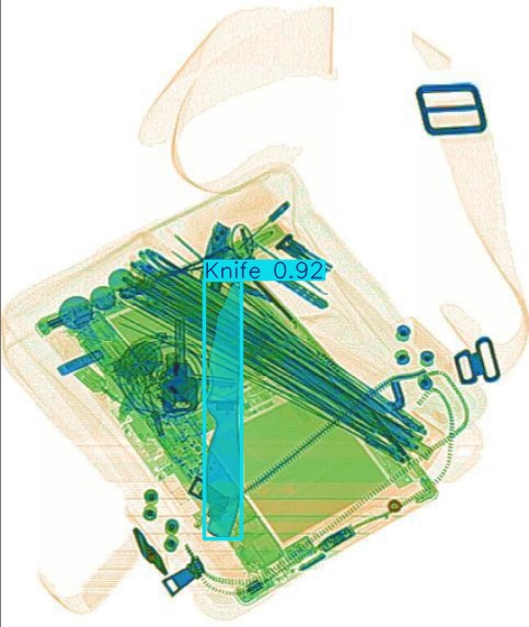 Detection preview by Segmentation_v8_large_300_train_300