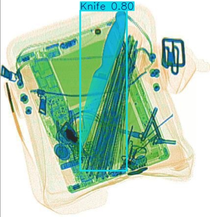 Detection preview by Segmentation_v8_large_300_train_300