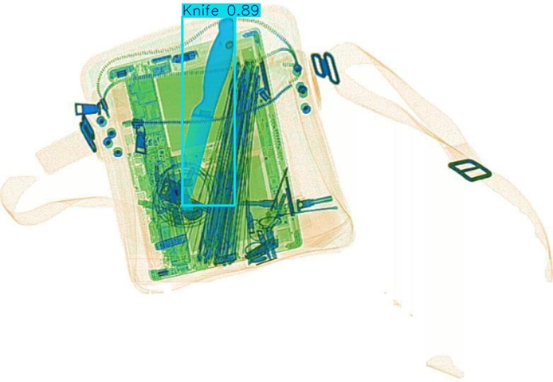 Detection preview by Segmentation_v8_large_300_train_300