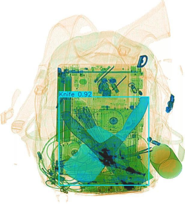 Detection preview by Segmentation_v8_large_300_train_300