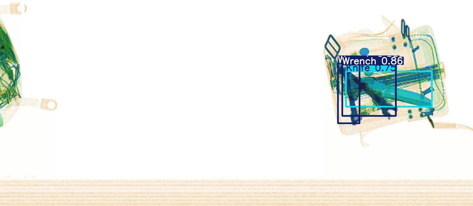 Detection preview by Segmentation_v8_large_300_train_300