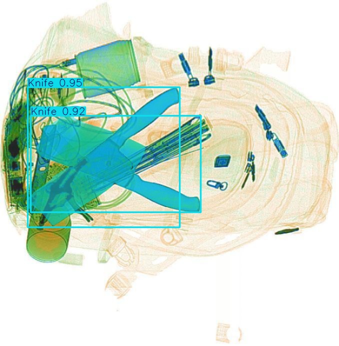Detection preview by Segmentation_v8_large_300_train_300