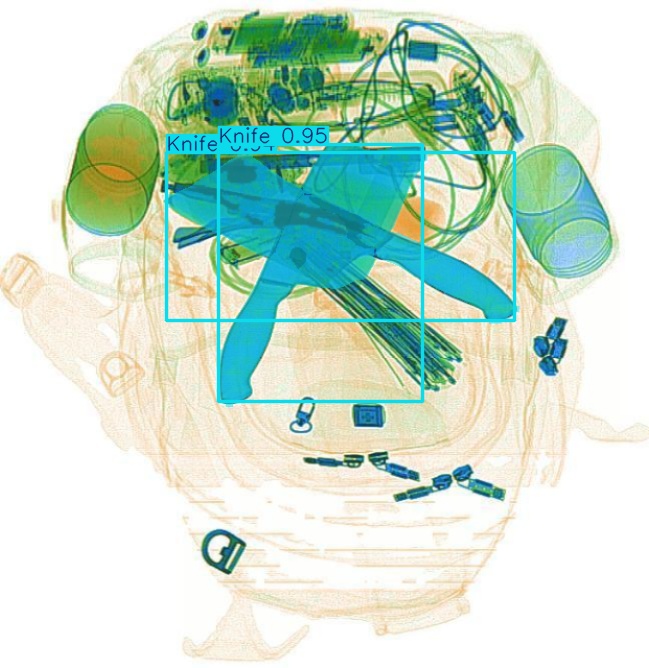 Detection preview by Segmentation_v8_large_300_train_300