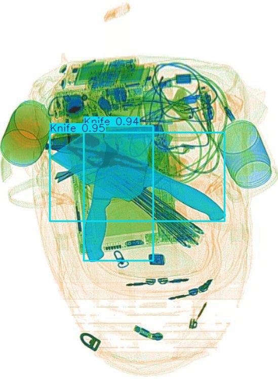 Detection preview by Segmentation_v8_large_300_train_300