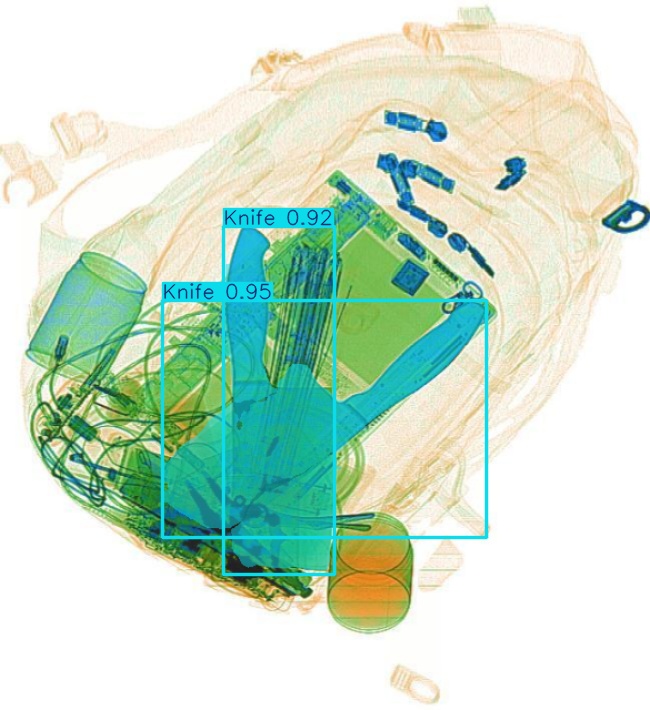 Detection preview by Segmentation_v8_large_300_train_300
