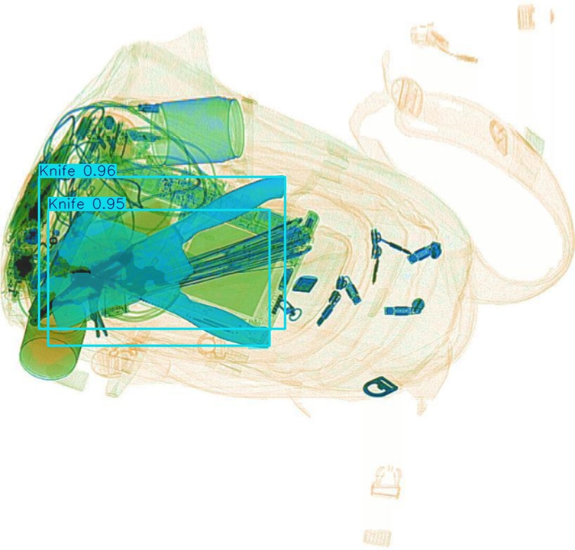 Detection preview by Segmentation_v8_large_300_train_300