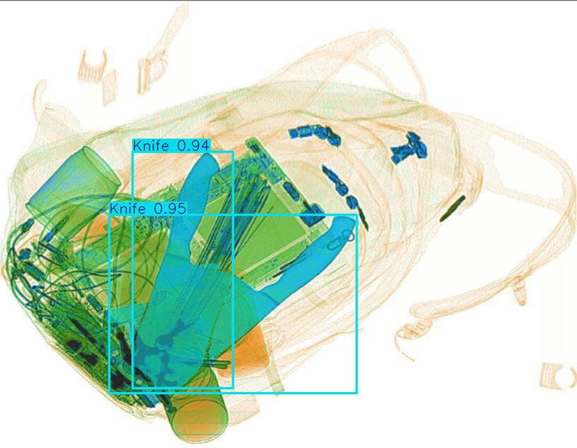 Detection preview by Segmentation_v8_large_300_train_300