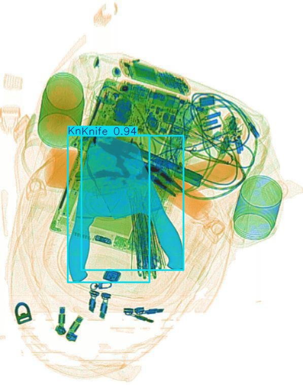 Detection preview by Segmentation_v8_large_300_train_300