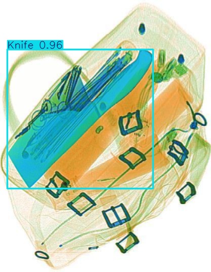 Detection preview by Segmentation_v8_large_300_train_300