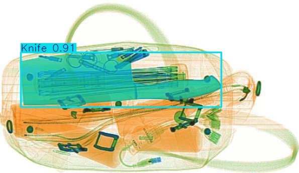Detection preview by Segmentation_v8_large_300_train_300