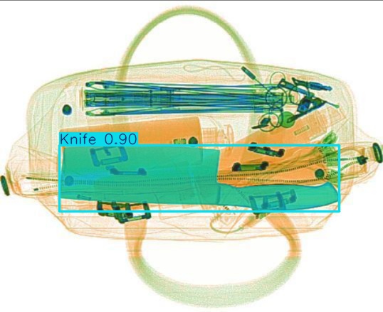 Detection preview by Segmentation_v8_large_300_train_300