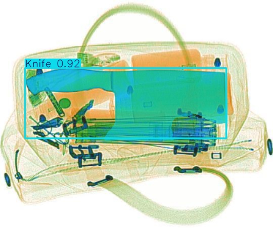 Detection preview by Segmentation_v8_large_300_train_300