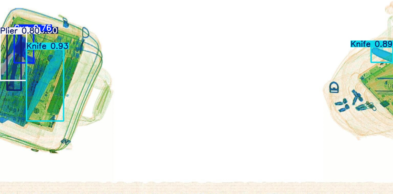 Detection preview by Segmentation_v8_large_300_train_300