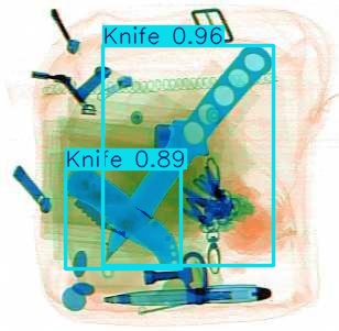 Detection preview by Segmentation_v8_large_300_train_300