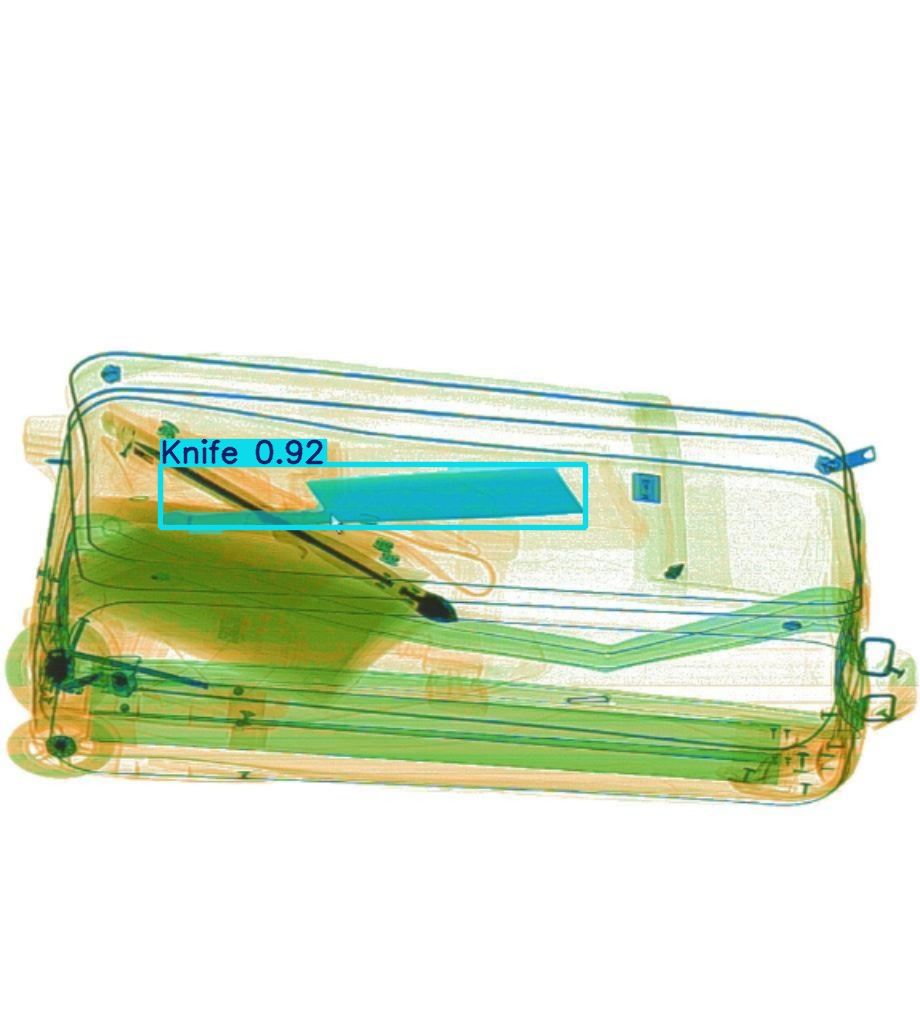 Detection preview by Segmentation_v8_large_300_train_300